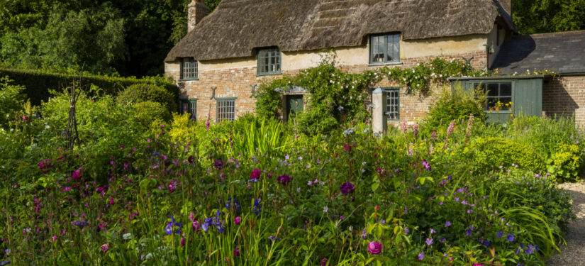 The garden in June at Hardy's Cottage, Dorset