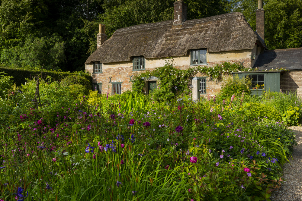 The garden in June at Hardy's Cottage, Dorset