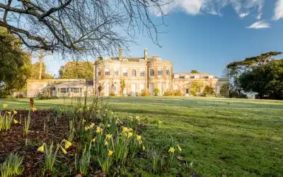 A large country house, with grass and daffodils in the foreground