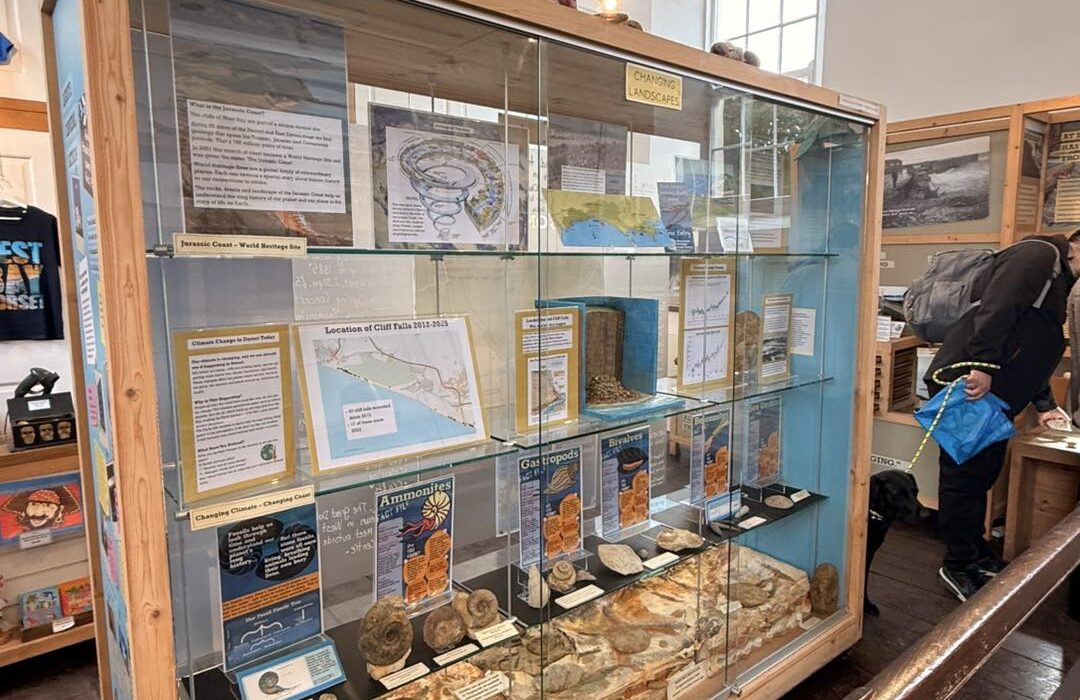 Photo shows a display cabinet inside the West Bay Discovery Centre.