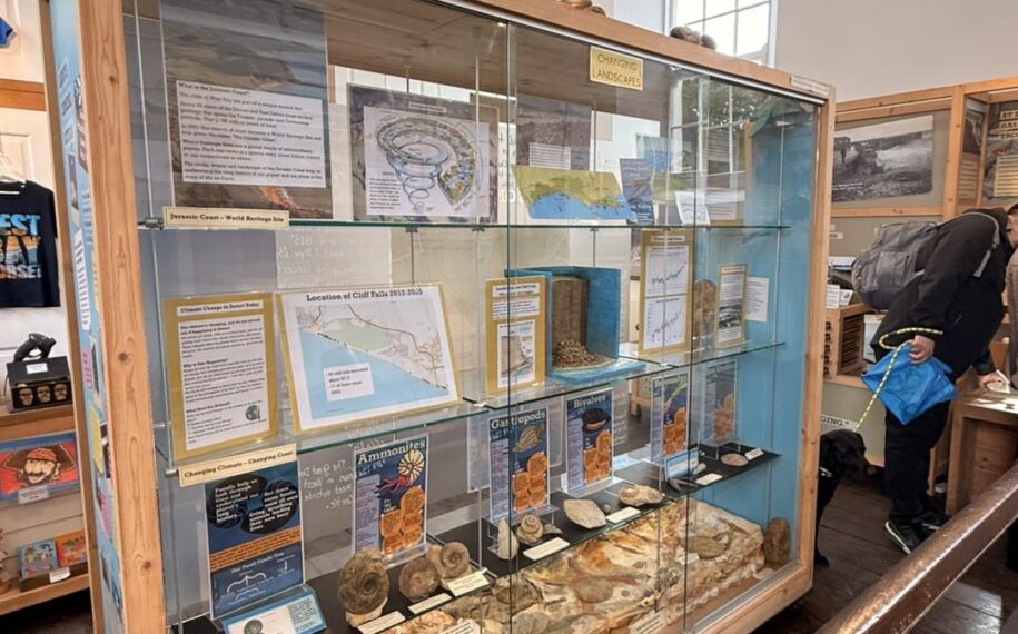 Photo shows a display cabinet inside the West Bay Discovery Centre.