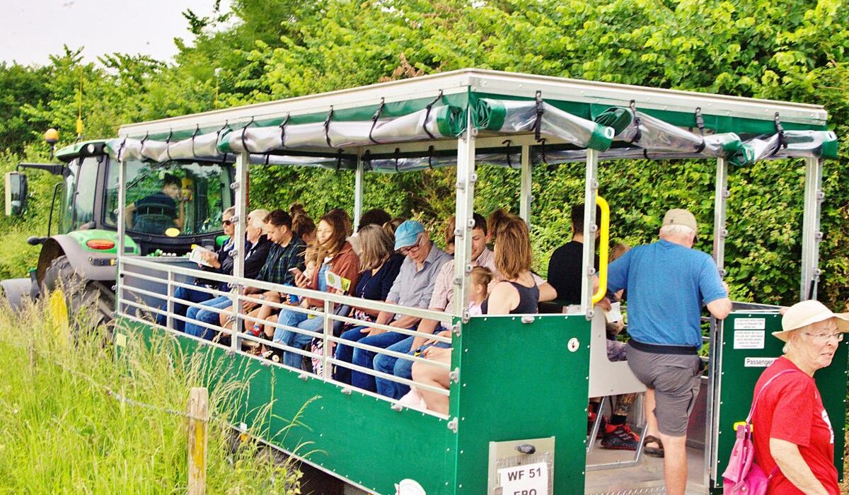 People riding a covered tractor trailer through green countryside on a farm visit or outdoor event.