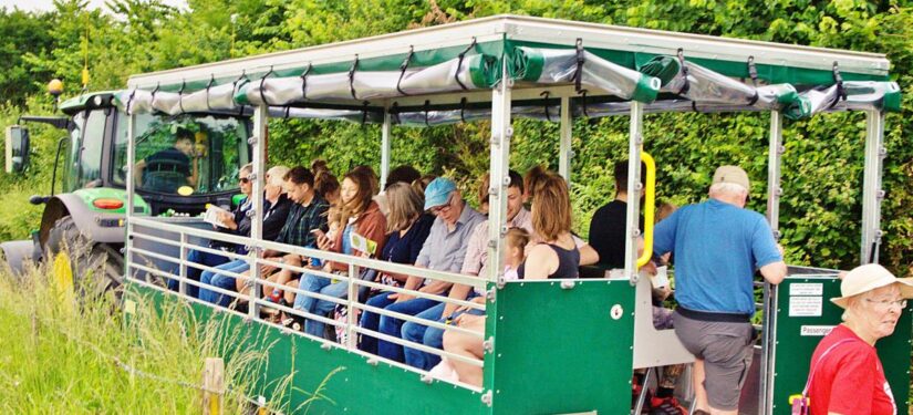 People riding a covered tractor trailer through green countryside on a farm visit or outdoor event.