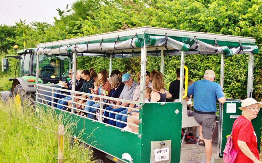 People riding a covered tractor trailer through green countryside on a farm visit or outdoor event.
