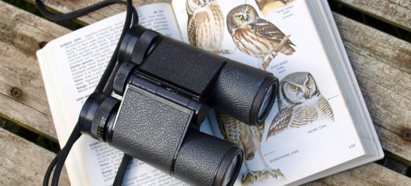 binolculars laid on top of an open bird watching book.