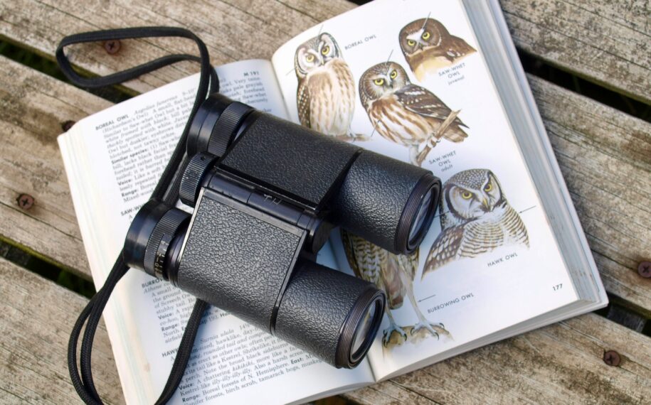 binolculars laid on top of an open bird watching book.