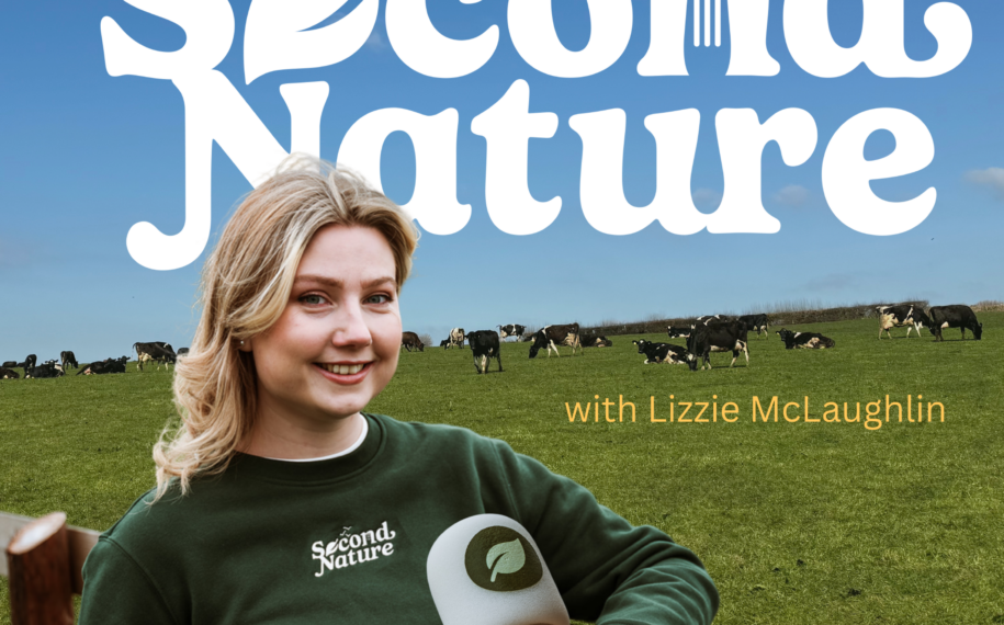 Podcast host with microphone in front of cows grazing in a countryside field