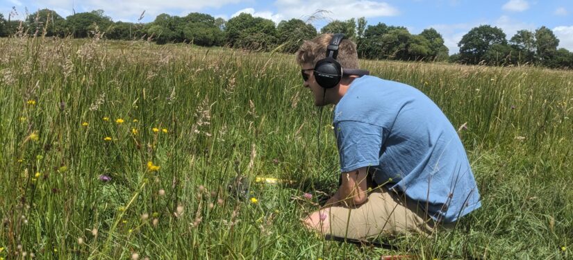 Man with headphones is sitting in a meadow of tall grasses and yellow flowers