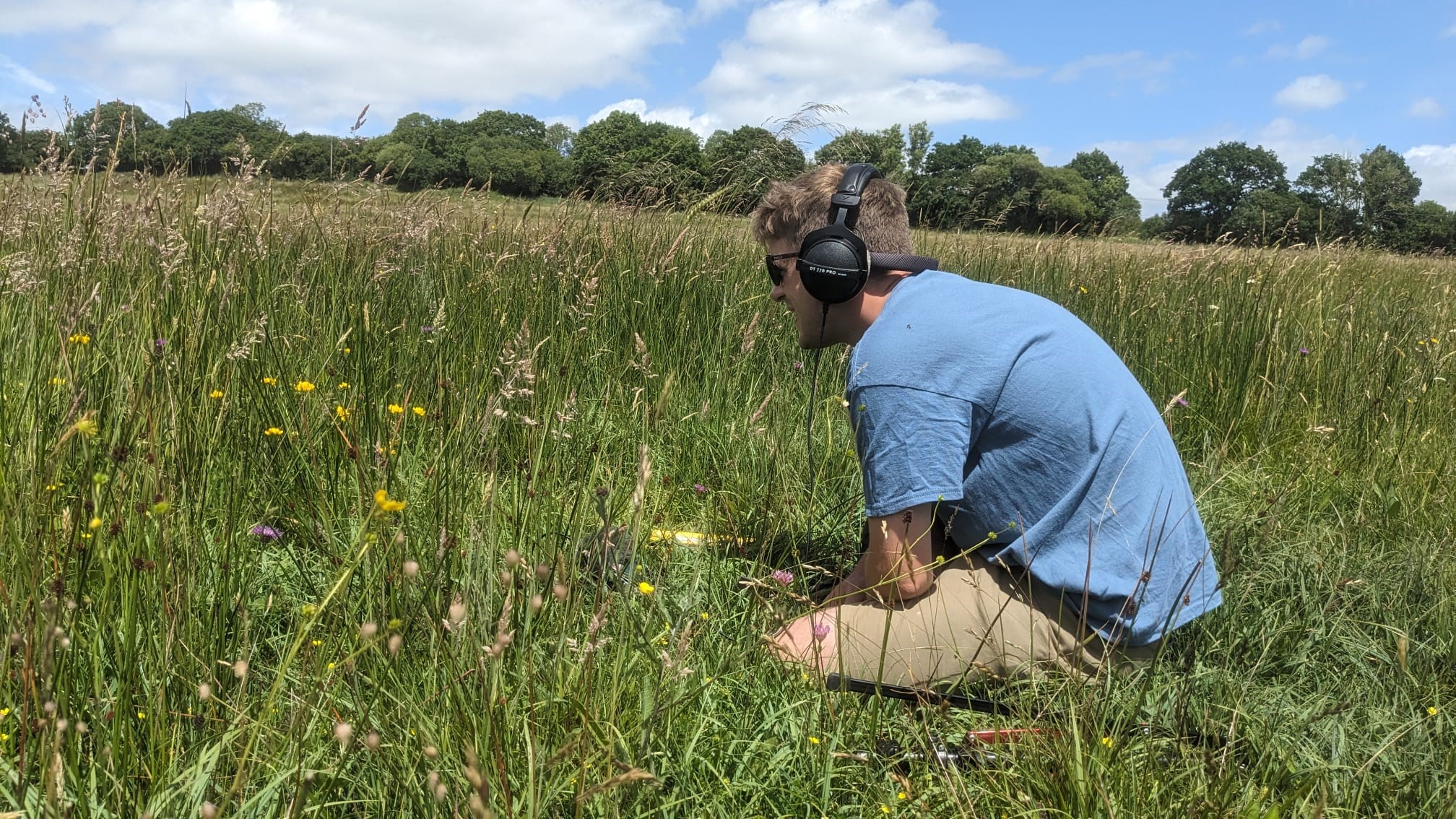 Man with headphones is sitting in a meadow of tall grasses and yellow flowers
