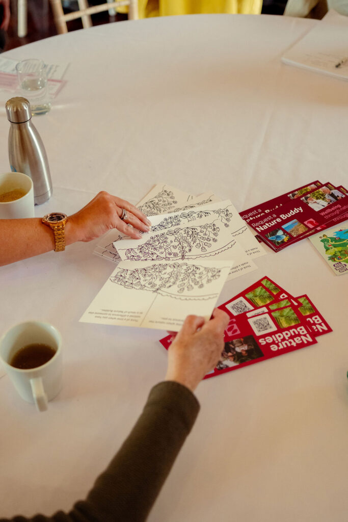 Two hands reaching out for illustrated postcards on a table.
