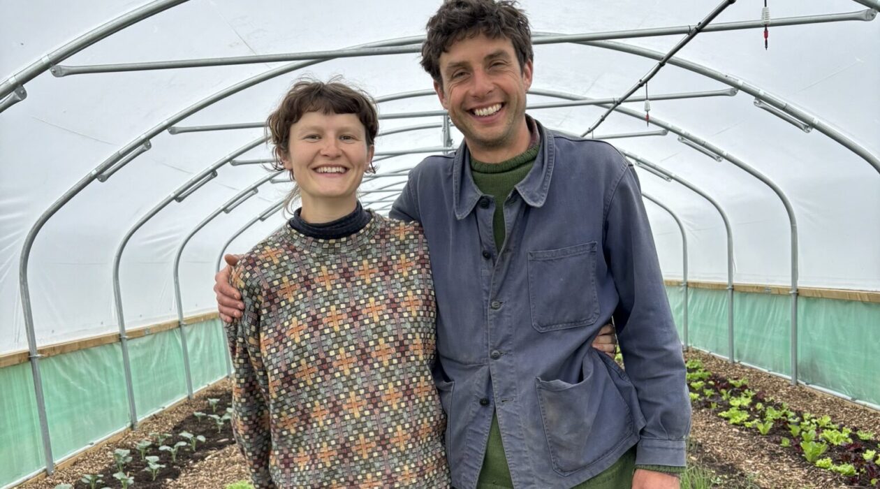 A farming couple smile inside their newly installed pollytunnel, standing in front of rows of vegetables