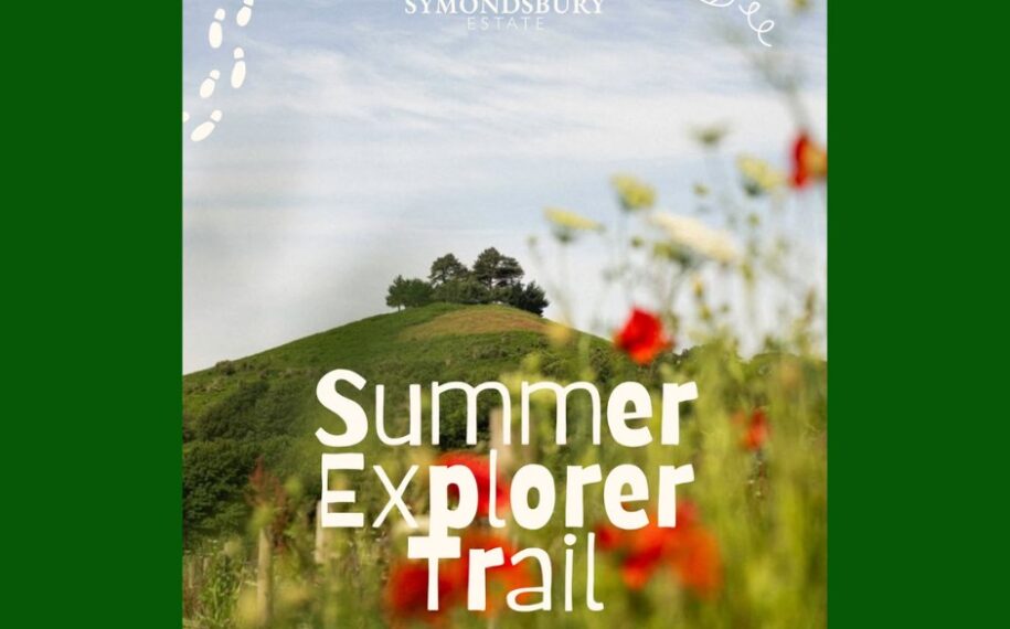 Wildflower-framed view of a hill at Symondsbury Estate promoting the Summer Explorer Trail, 25 July to 6 September.