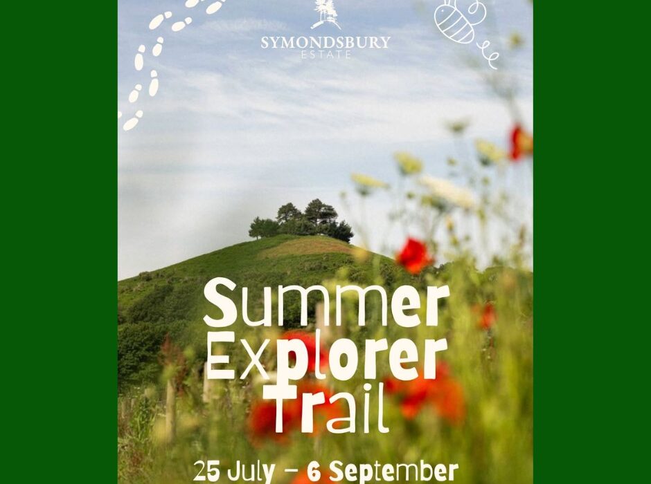 Wildflower-framed view of a hill at Symondsbury Estate promoting the Summer Explorer Trail, 25 July to 6 September.