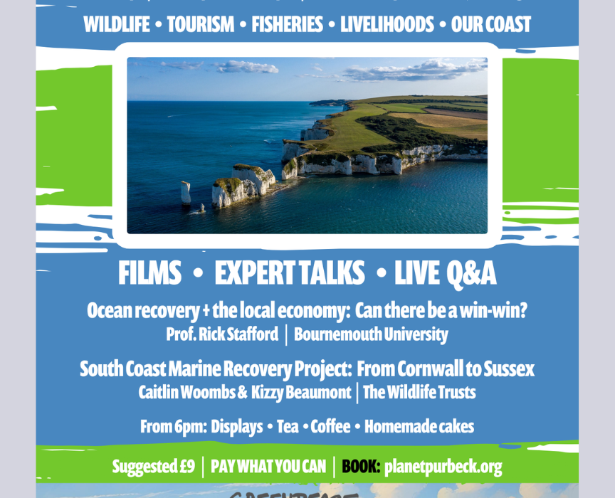 Healthy Seas, Thriving Coast event poster featuring Dorset coastline imagery, expert talks, films and a live Q&A on the future of Dorset's seas in Swanage.
