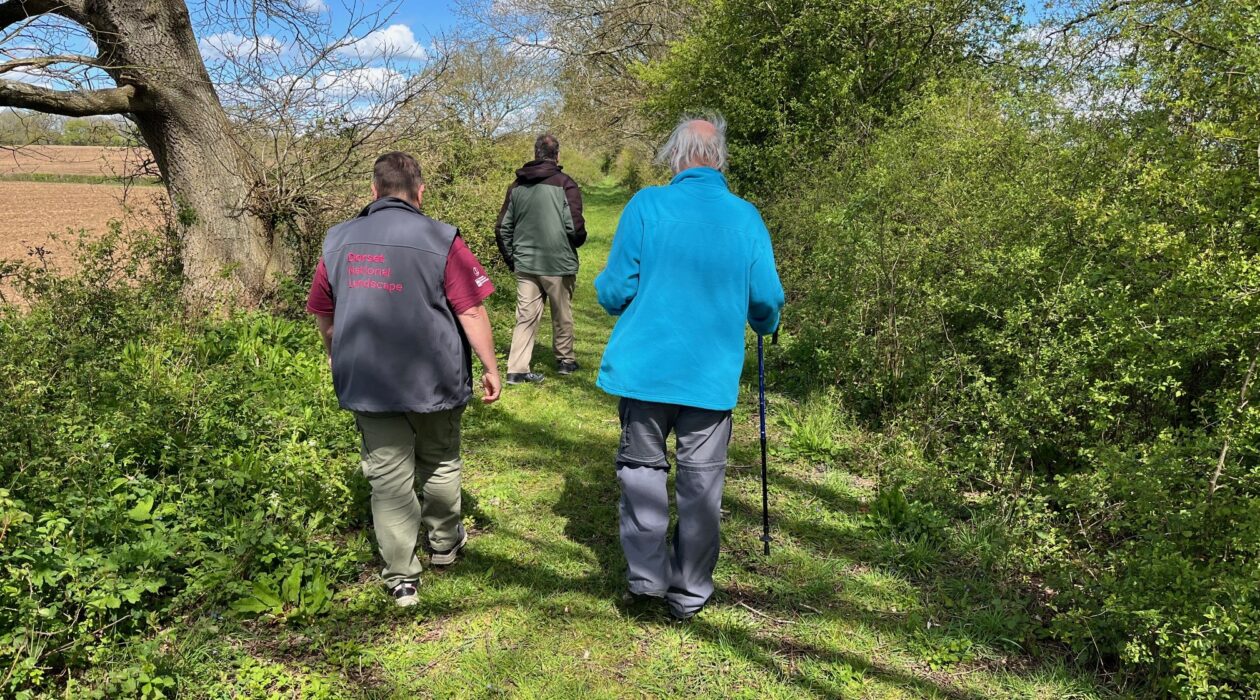 three people walk down a tree lined path